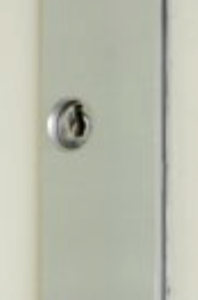 Centor DL 200mm dropbolt, low profile, keyed, brushed metallic (DBFL200KRX)
