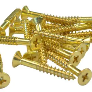 Solid Brass Screw #9x30mm PH